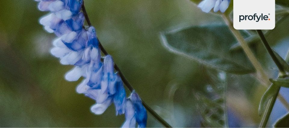 A beautiful flower
