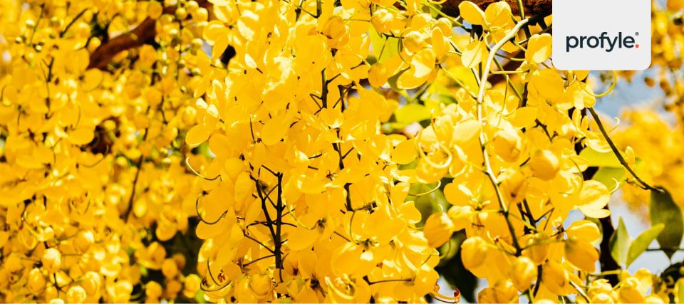 yellow