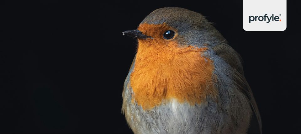 A pretty bird native to the UK